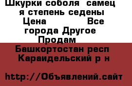 Шкурки соболя (самец) 1-я степень седены › Цена ­ 12 000 - Все города Другое » Продам   . Башкортостан респ.,Караидельский р-н